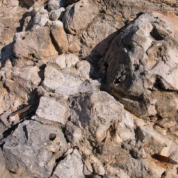 Rock Teeth