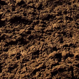 Dirt Teeth